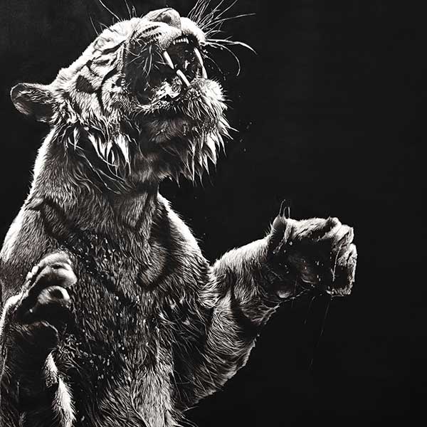 Art N Art National Level Art Exhibition in Delhi, India, Artist Ayush Agnihotri