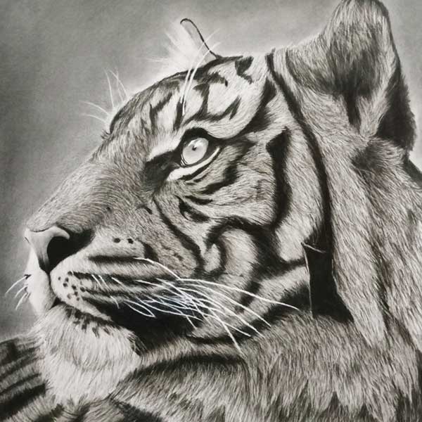 Artist Ayush Agnihotri Painting in All India Art Exhibition of Kids