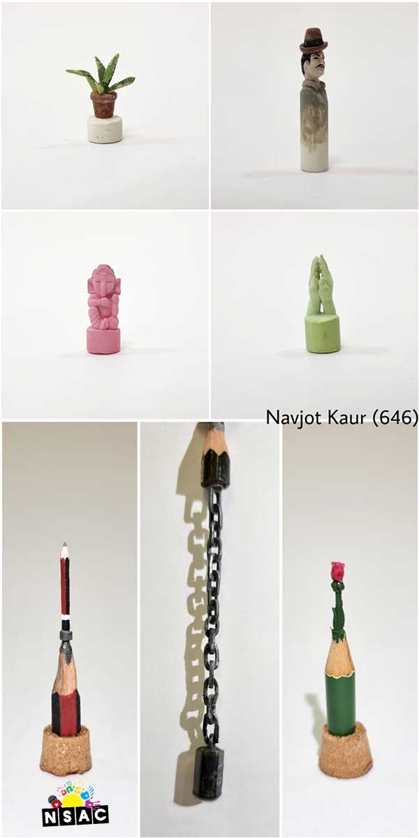 Navjyot Kaur Virk Winners of All India National Level Art & Craft Competition for Artist and Craft Lovers in Delhi, India