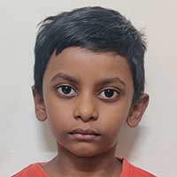 Darshik N